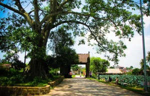 lang co Duong Lam