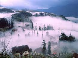 sapa